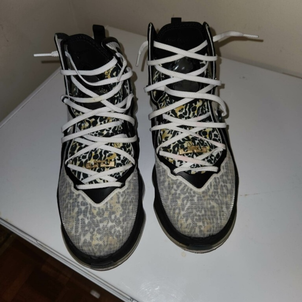 Nike LeBron XIX size 12